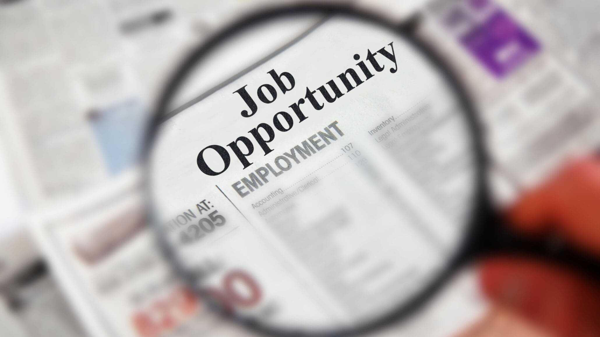 Job Search
